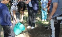 Деца в Димитровград садиха дръвчета