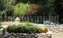 Започва повторна обработка на зелените площи срещу кърлежи