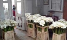 Предприемачи дариха 1000 цвята кала на катедрален храм "Св. Димитър"