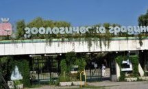 Лятно училище в софийския зоопарк - за 19-та година поред