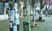 Стълбовете и дърветата в Добрич пълни с некролози и обяви, алармират граждани