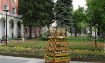 Плевен ще става все по-красив и цветен