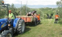 Ученици от Попово ще практикуват биоземеделие в Италия
