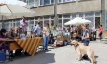 Деца показват домашни любимци в училищна зооизложба