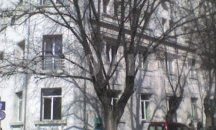С концерт представят новия роял на НУИ в Русе