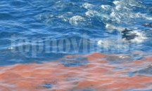 Нефтопровод на „Шел“ разля 334 тона петрол в Мексиканския залив