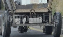 Каруца прегази крака на жена от Добрич