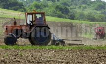 Приключи сеитбата на пролетниците в област Добрич