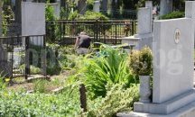 Гробищният парк в Търговище ще бъде окосен до средата на юни