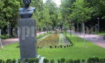 Вредител от Румъния унищожава чимширите в Шумен