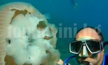 Фоторепортер се гмурка за открит урок по морска медицина