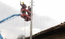 Спряха подмяна на осветителни тела заради гнезда на птици