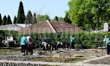 Над 150 000 растения включва лятното зацветяване на Ботаническата градина