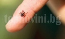 Пръскат срещу кърлежи в Айтос