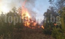 Китайски фенер опожари три оранжерии в Старозагорско