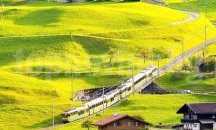 Без ограничения за работа в Швейцария от 1 юни