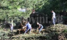 Възстановяват моста в село Димовци