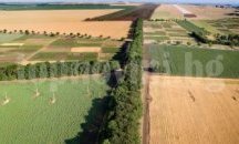 Предупреждават бургаските земеделци да внимават за електропроводи с високо напрежение