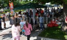 Млади химици правят "Корпус за бързо гърмене"