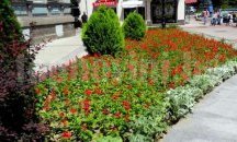 Пловдивското общинско предприятие "Градини и паркове" търси работници