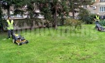 240 декара ще бъдат окосени през юни в Търговище