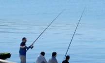Призовават уловените риби да не бъдат пускани отново във водата