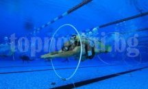 Състезание по подводни спортове започва на басейн „Флора“