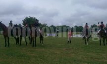 Турнир по конен спорт за деца се проведе в Русе