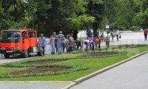 22 000 цветя, храсти и дръвчета са засадени във Велико Търново през пролетта