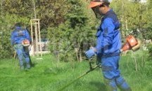 Извънредно се работи по окосяване на тревите в Добрич