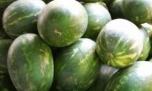 Дини гиганти заляха Кърджали