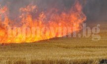 Забранено е изгарянето на стърнища и растителни отпадъци в земеделските земи