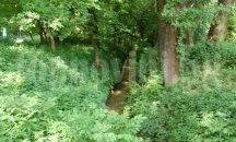 В Плевен започна превантивно почистване на речните корита