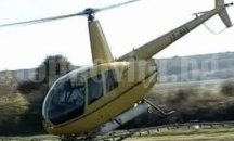 В област Плевен започва третиране на зелени площи срещу нодуларен дерматит