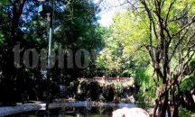 Деца нашариха езерото с мечката в Пловдив, родителите плащат за почистването