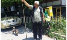 Почти двуметров смок уловиха в Добрич