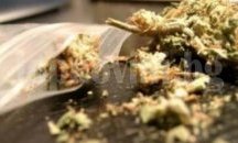 Македония легализира марихуаната за медицински цели