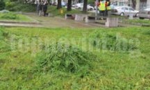 Продължава косенето на тревата в част от кварталите на Добрич