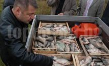 ИАРА дебне за търговци на риба на пътя Бургас – Приморско