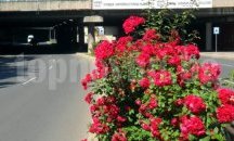 Подменят осветлението на подлеза на бул. „България“ в Пловдив