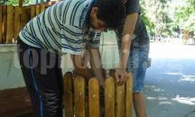 Поставят 50 нови кошчета в Градската градина на Плевен