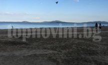 Двама софиянци се удавиха във водите край Слънчев бряг