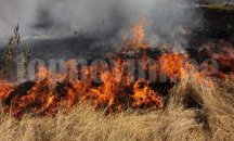 Глоби от 200 до 2 000 лв. ще налагат на нарушителите на правилата за пожарна безопасност в Исперих