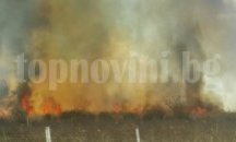 Пожар унищожи 4 декара пшеница в Пловдивско