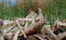 Разхвърлиха животински кости край пътя Хасково-Димитровград