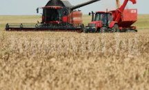 Жътвената кампания в област Добрич ще бъде официално открита днес край Каварна