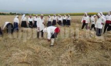 „Млади сърца“ пресъздадоха жътварски ритуал в Ценово