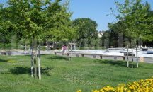 Укрепват по нов начин дърветата на площада в Плевен