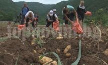 Бачковският манастир продава картофи, за да реставрира църквата си