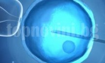 Приемат документи по програма „Асистирана репродукция” на Община Русе